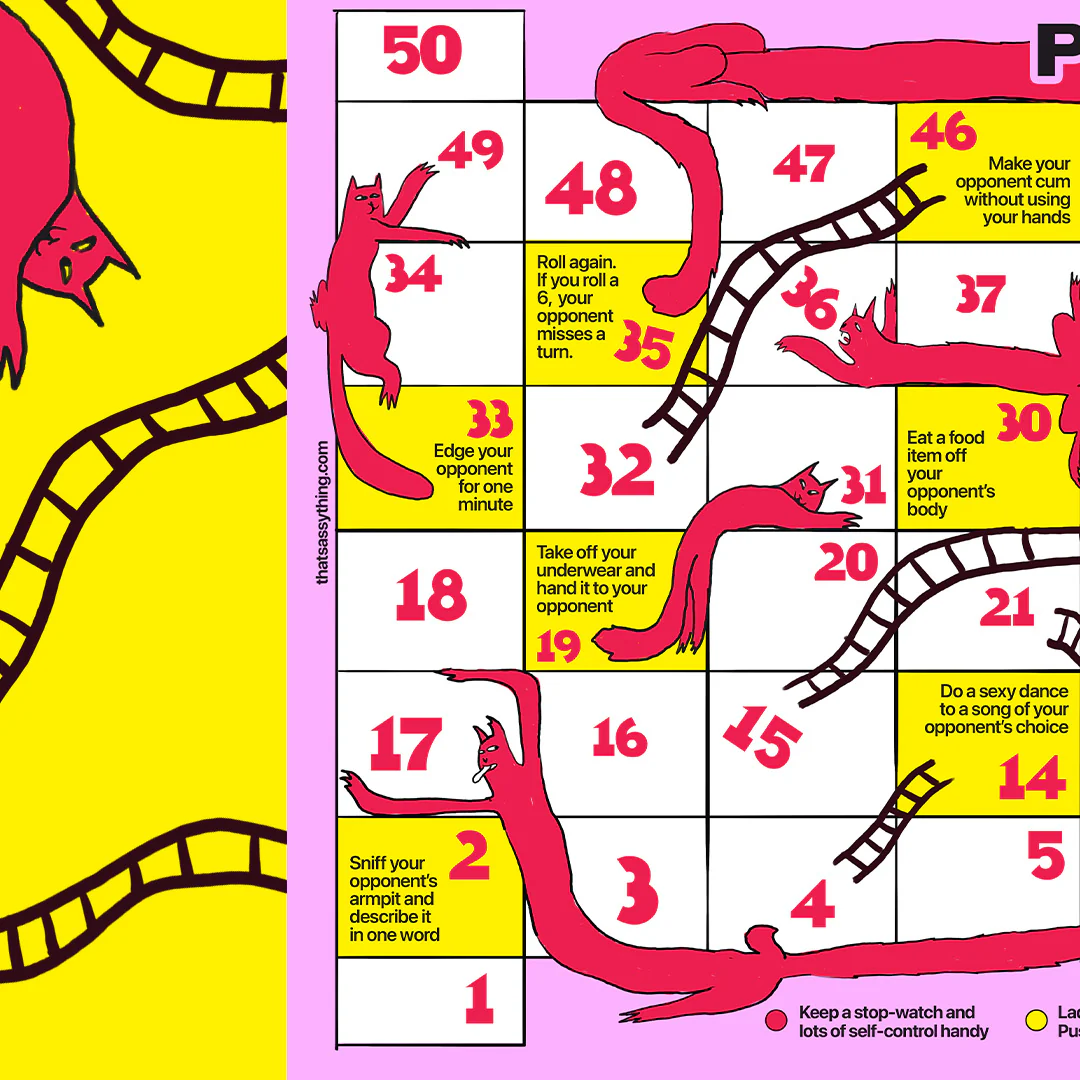 Pussies & Ladders - Image 5
